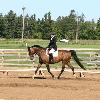 Rachel & George - Dressage Show