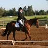 Joy & Vinnie - Dressage Show