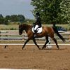 Kate & Cadeau - Dressage Show