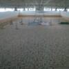 Indoor arena